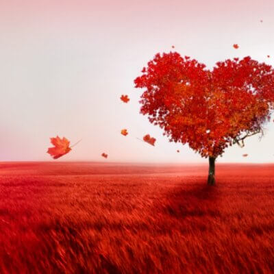 Online Transformatie Training - De 4 sleutels van ZelfLiefde - 4 maanden