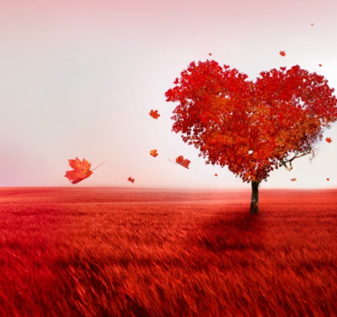 Online Transformatie Training - De 4 sleutels van ZelfLiefde - 4 maanden