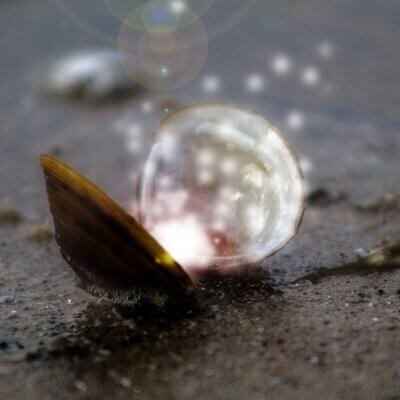 De Wijsheid van je hart 18-19 april 2026